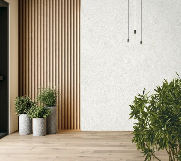 PRIMO collection imagery